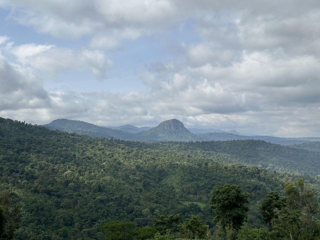 산림청 후원 에티오피아 커피 혼농임업 사업지 원경