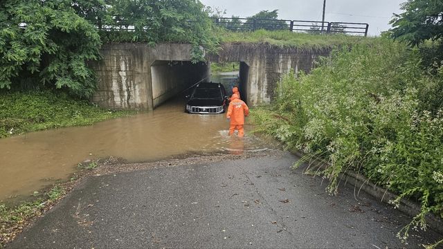 일산 차량 침수 현장