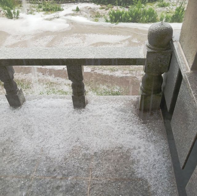 밀양 얼음골 사과 농가에 내린 우박