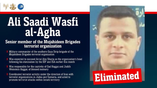 알리 사디 와스피 알아가