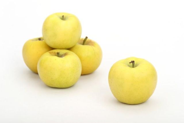 사과 '골든볼' 품종