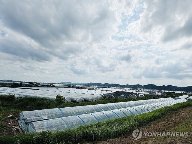 익산 망성면 비닐하우스 단지