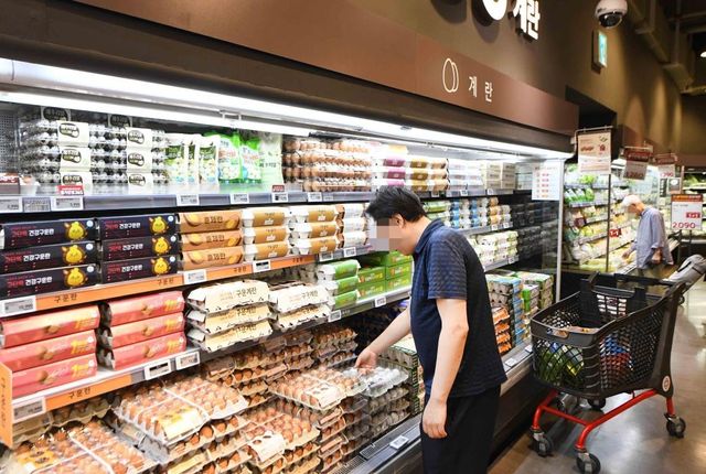 홈플러스 메가푸드마켓 라이브 강서점 