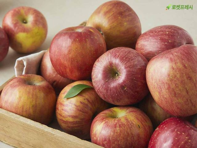 쿠팡 로켓프레시 사과
