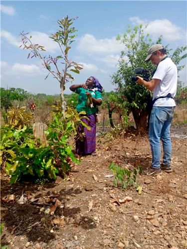 토고 최북단 사바느지역에서 산림황폐화 진행된시어나무숲 사업대상지