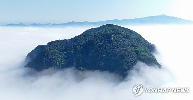 산방산 삼킨 바다 안개