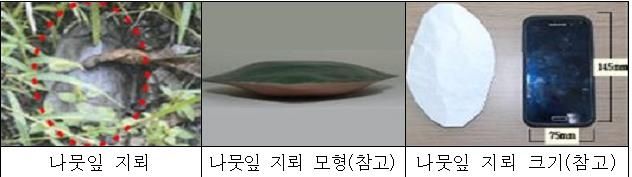 북한의 지뢰 형상