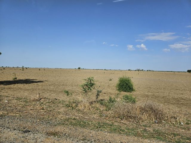 카메룬 마루아 공항 주변 풍경
