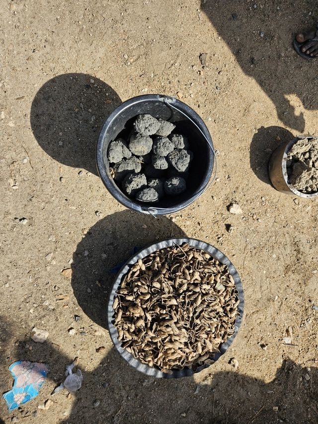 카메룬 미나와오 난민캠프에서 생산된 친환경 숯