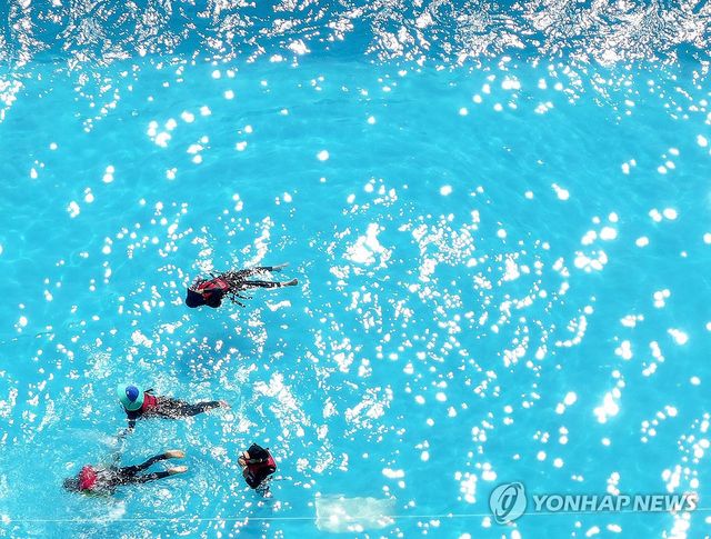 햇볕 위에 둥둥