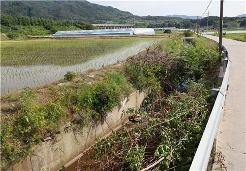사고가 난 농수로