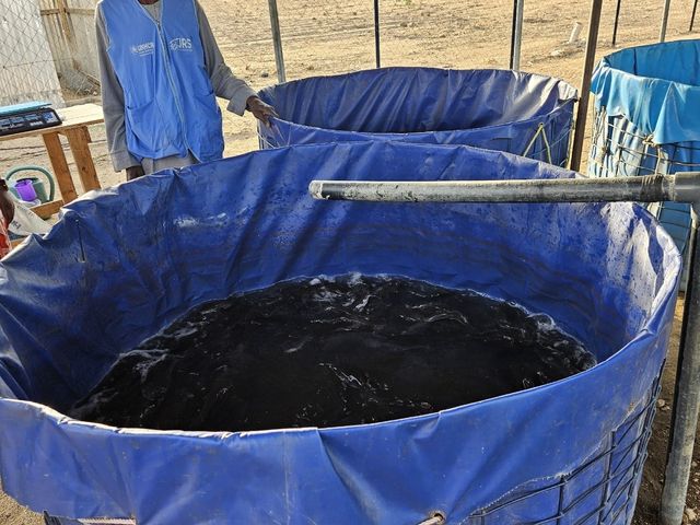 카메룬 미나와오 난민캠프 내 양어장