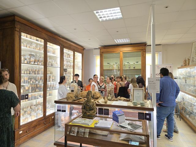 몽펠리에 의약박물관 내 한국 한약 섹션 