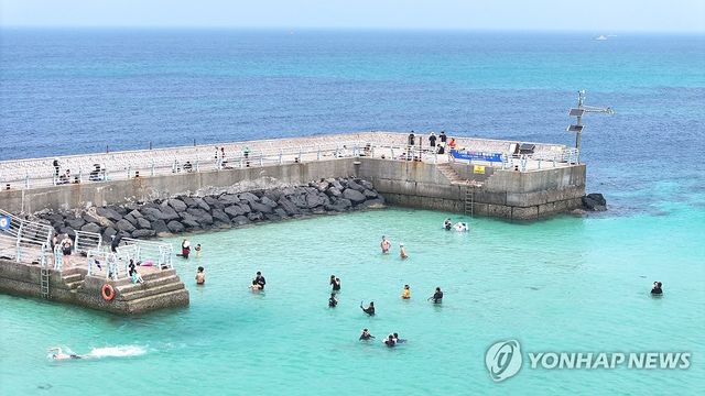 스노클링의 계절이 왔다