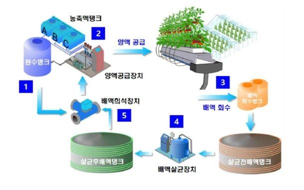 순환식 수경재배 기술