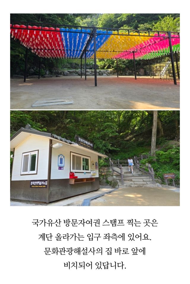 방문자 여권 투어 후기 글