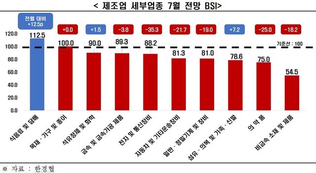 제조업 세부업종 7월 전망 BSI