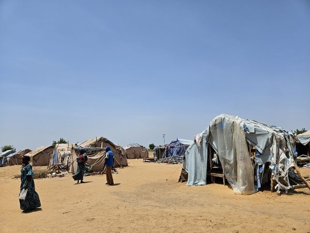 카메룬 최북단주 야구아의 실향민 텐트촌