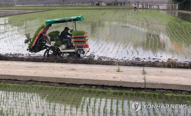 농민 모내기