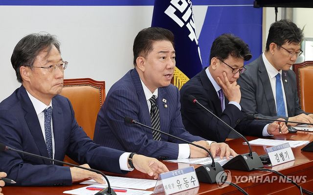 발언하는 김병기 당 대표 직무대행
