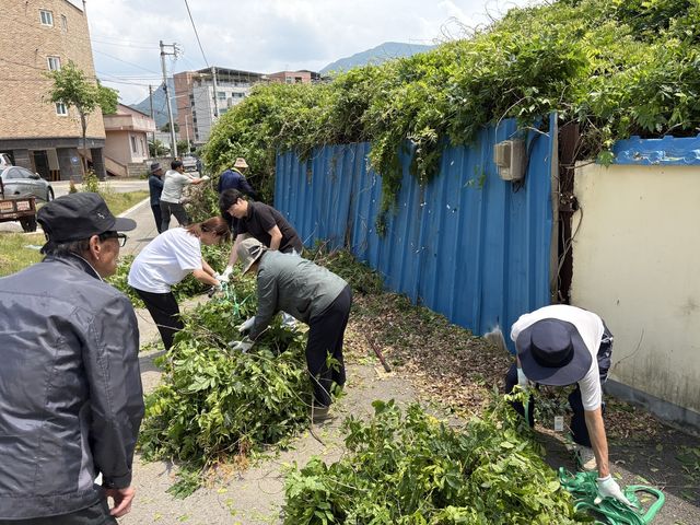 평창읍 주민들의 자원봉사 마을 활동'하리'