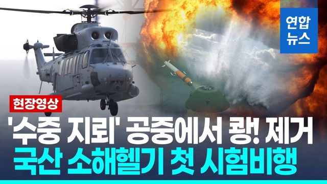 [영상] '하늘의 기뢰 사냥꾼' 국산 소해헬기 첫 시험비행 성공 - 2