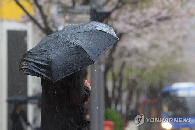 비 내리는 풍경