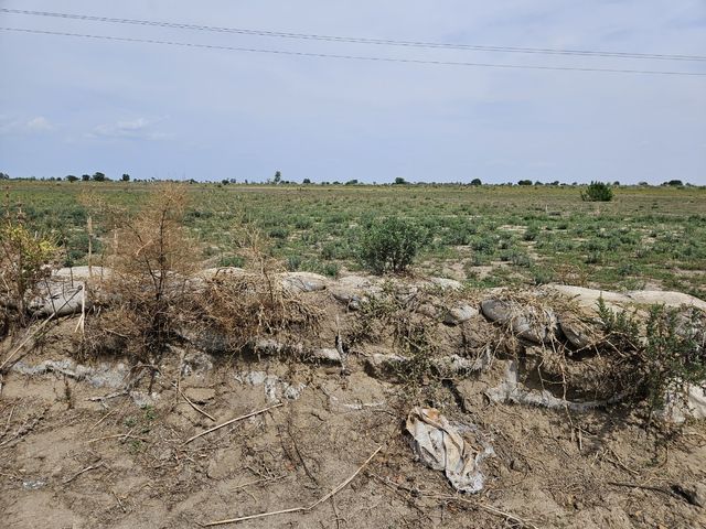 카메룬 최북단주 앙두밀 마을의 낮은 제방