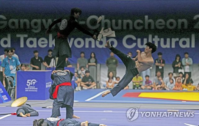 태권도 시범경연대회