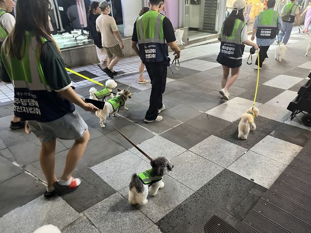 댕댕이 안전지킴이 순찰 활동