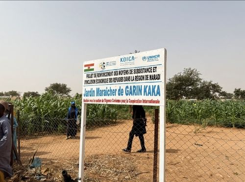 니제르 마라디 내 가린카카 지역의 상품작물 재배 공동농장