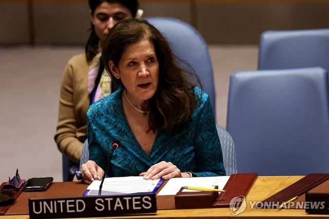 도로시 셰이 주유엔 미국 대사 대행