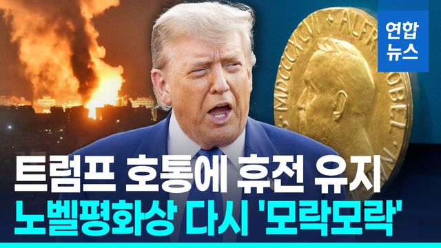 [영상] 트럼프, '위태로운 휴전' 수호 매진…이란·이스라엘에 'F' 욕설 - 2