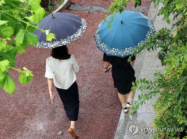 다시 내리는 장맛비