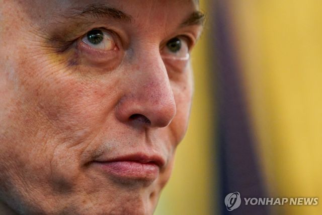 일론 머스크 테슬라 최고경영자