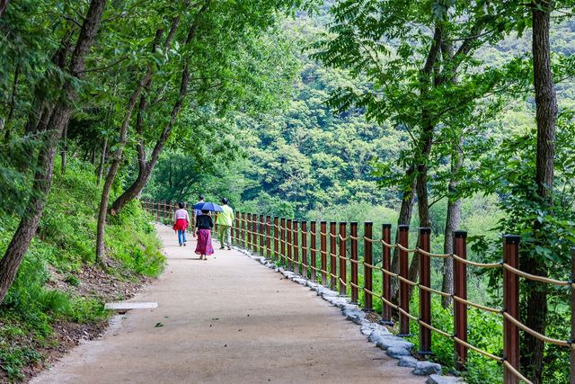 반구대 가는 길[사진/임헌정 기자]