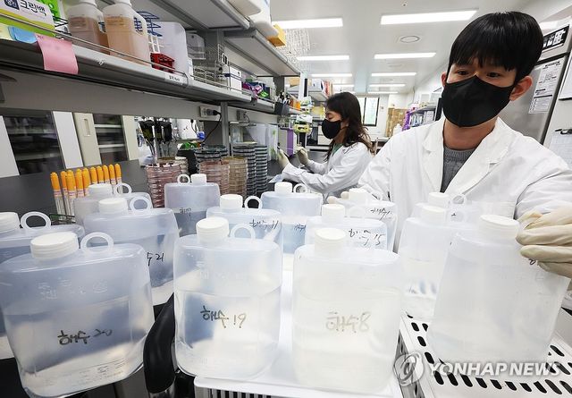 비브리오패혈증균 검사