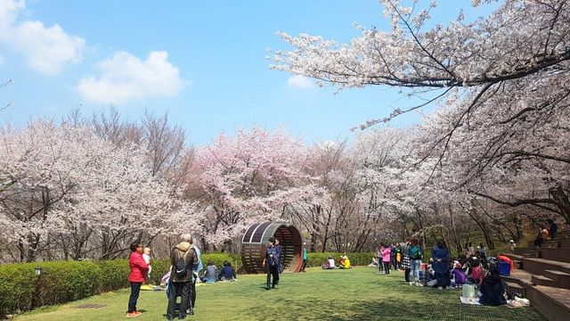 9월부터 서울시 공공예식장으로 무료 개방하는 '서대문 안산(鞍山) 잔디마당'
