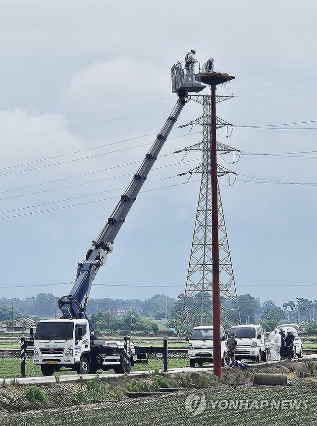 황새 보금자리 만들기