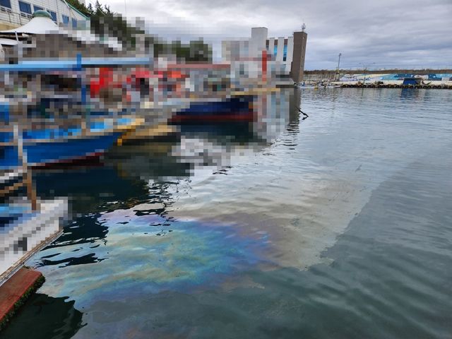 강원 고성 오호항에 퍼진 기름띠