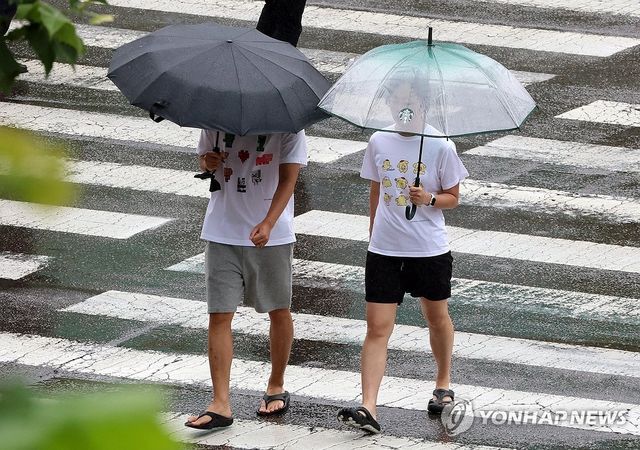 추적추적 내리는 장맛비