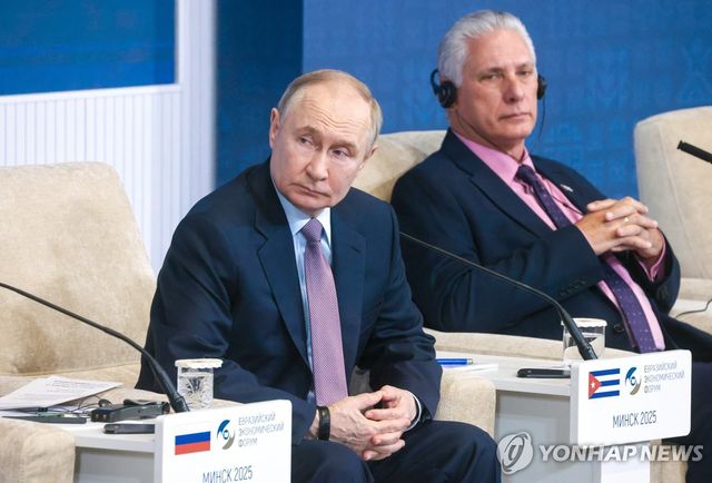 블라디미르 푸틴 러시아 대통령