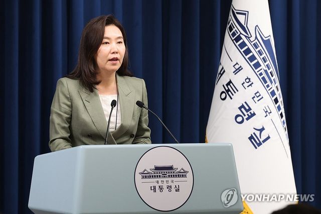 브리핑하는 강유정 대변인