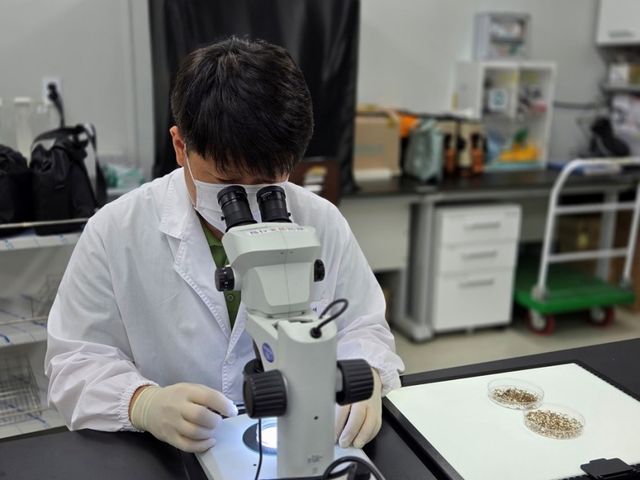 일본뇌염 모기 검사