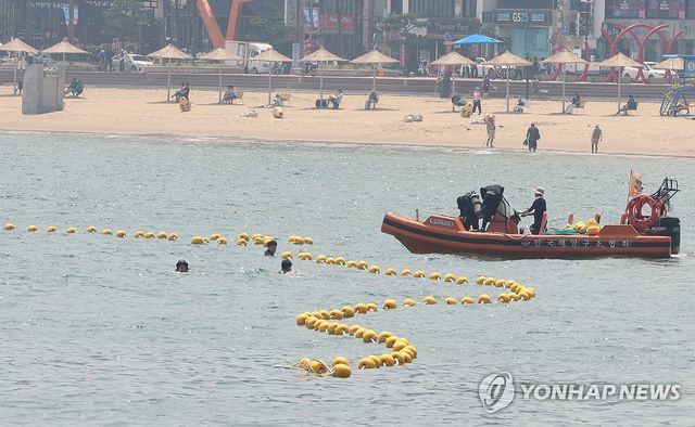 해파리 차단 그물망 모습