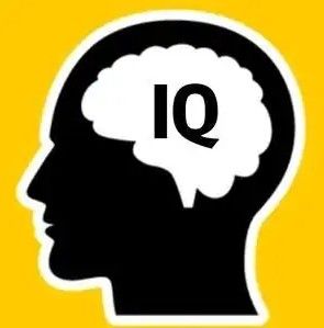 IQ 테스트