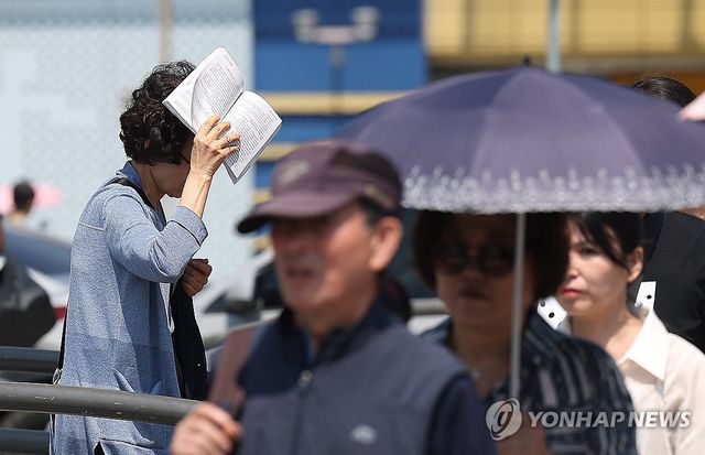 책으로 가려보는 햇볕