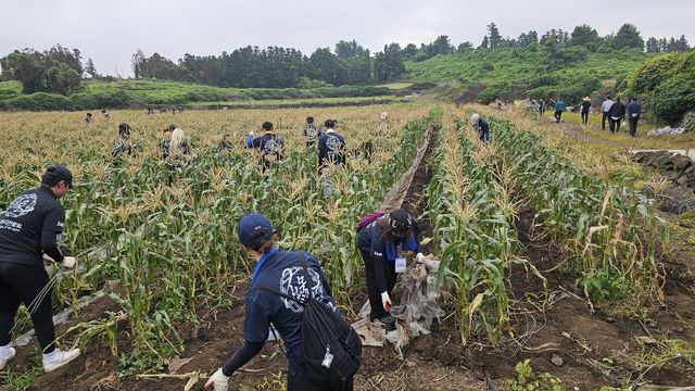 호남대 총동아리연합회 농케이션