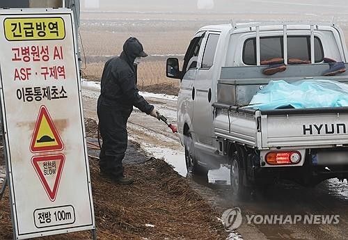조류 인플루엔자 방역