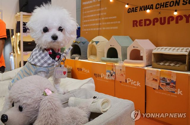 한국인 30%, 반려동물 기르지만…하루 6시간 동물 홀로 집에